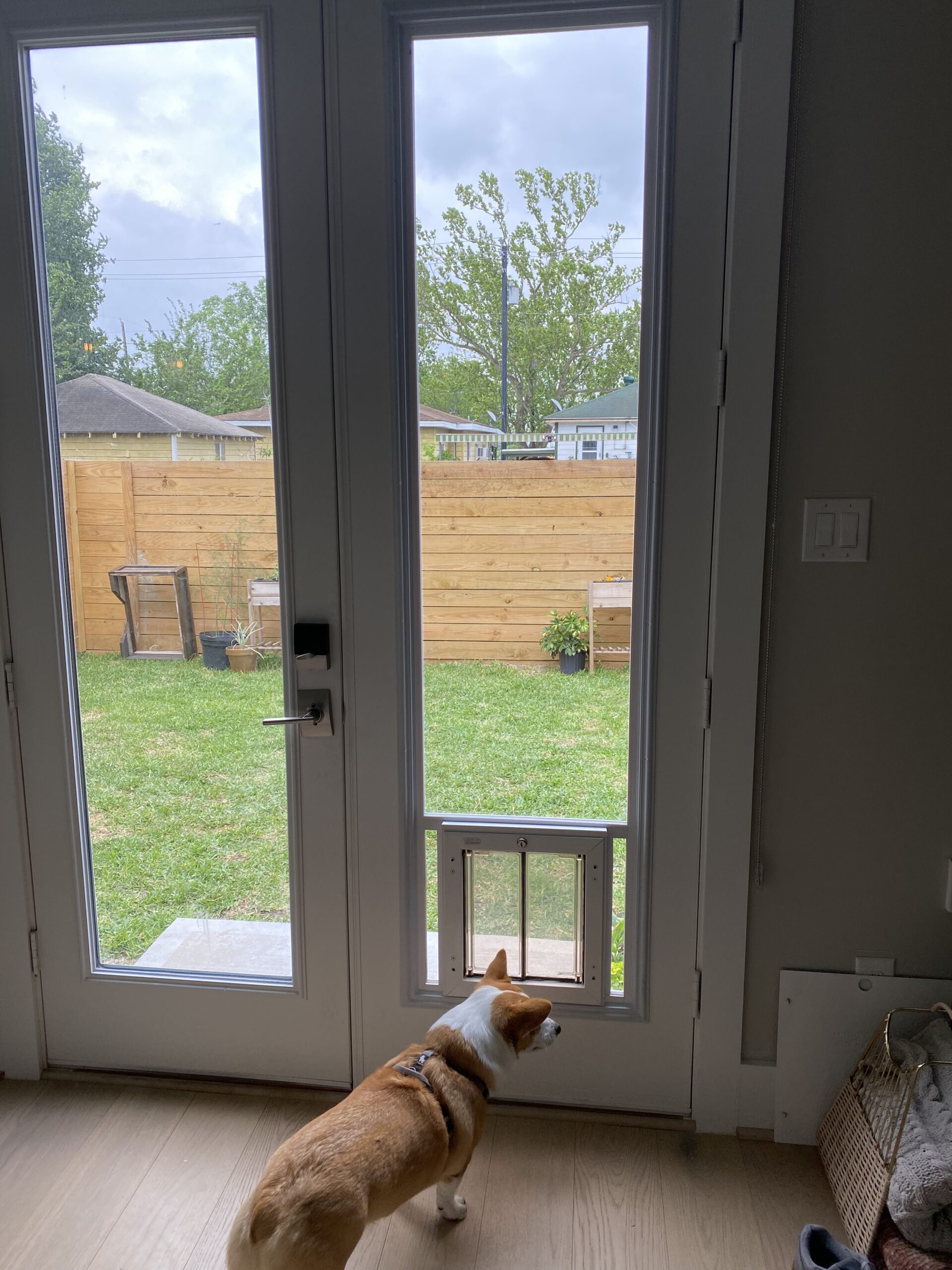 Glass pet door installation